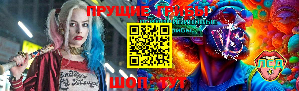 Тихвин  Галлюциногенные грибы прущие грибы  где найти   Галлюциногенные грибы мухоморы  Вход с VPN 