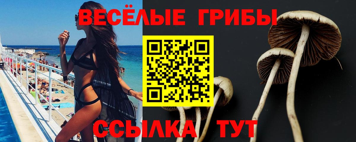 Галлюциногенные грибы мухоморы Тихвин